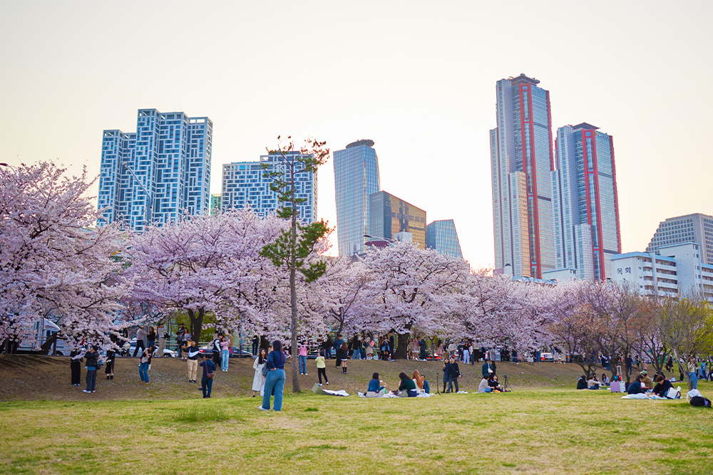 สวนและถนนยออิโด