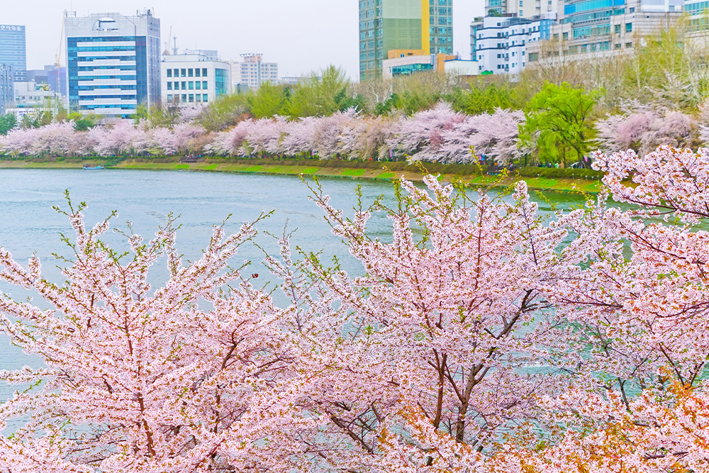 ทะเลสาบซอกชน