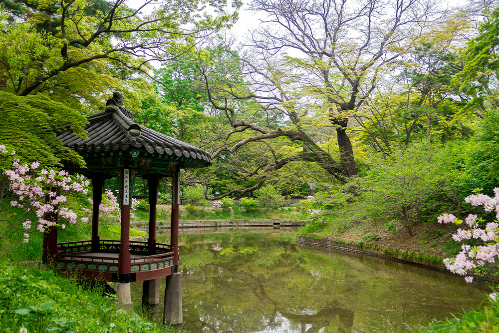 พระราชวังชางด็อกกุง