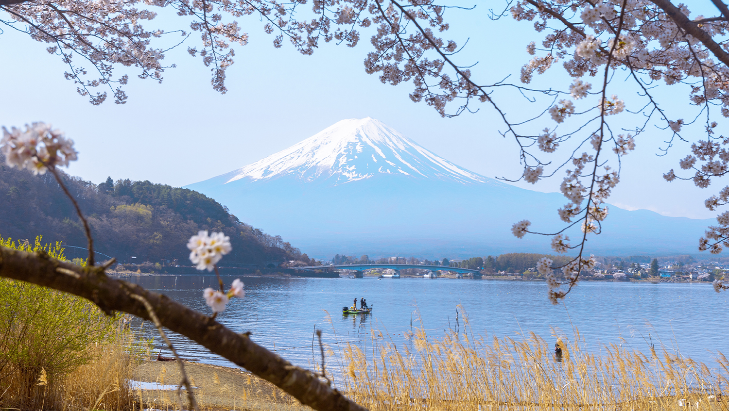 Lake Kawaguchi