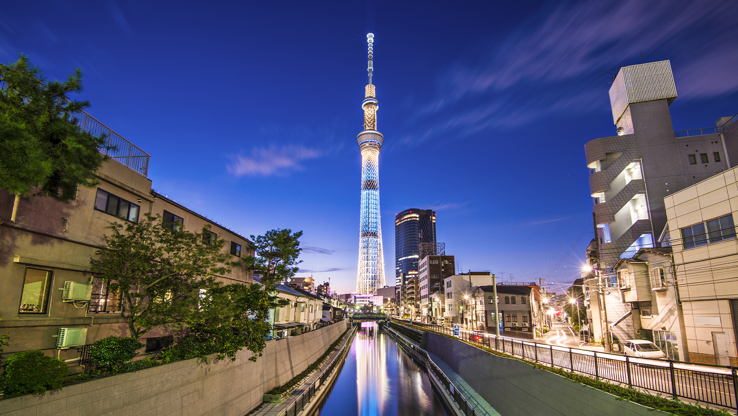 Tokyo Skytree วิวเมือง