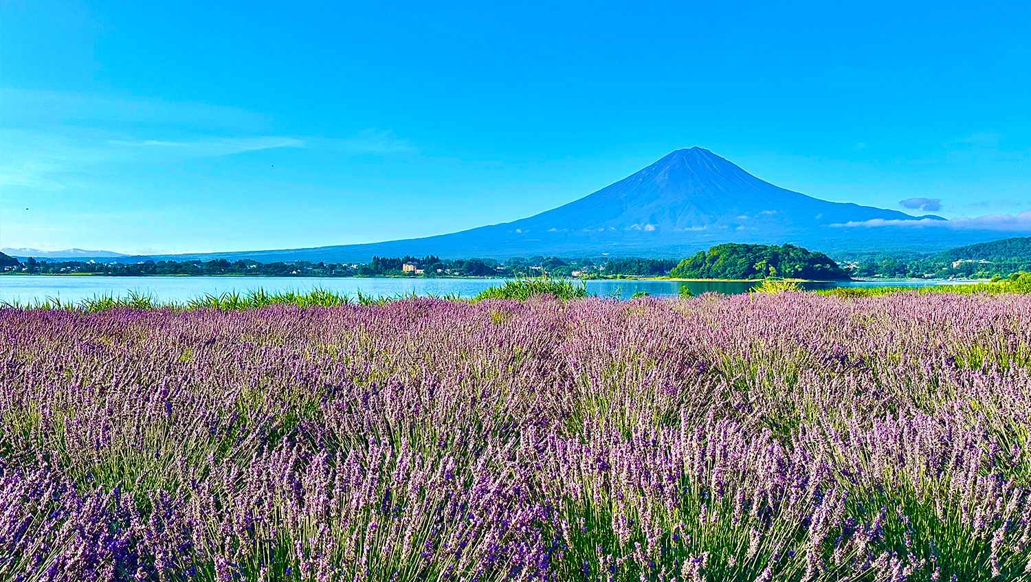 Lake Kawaguchi